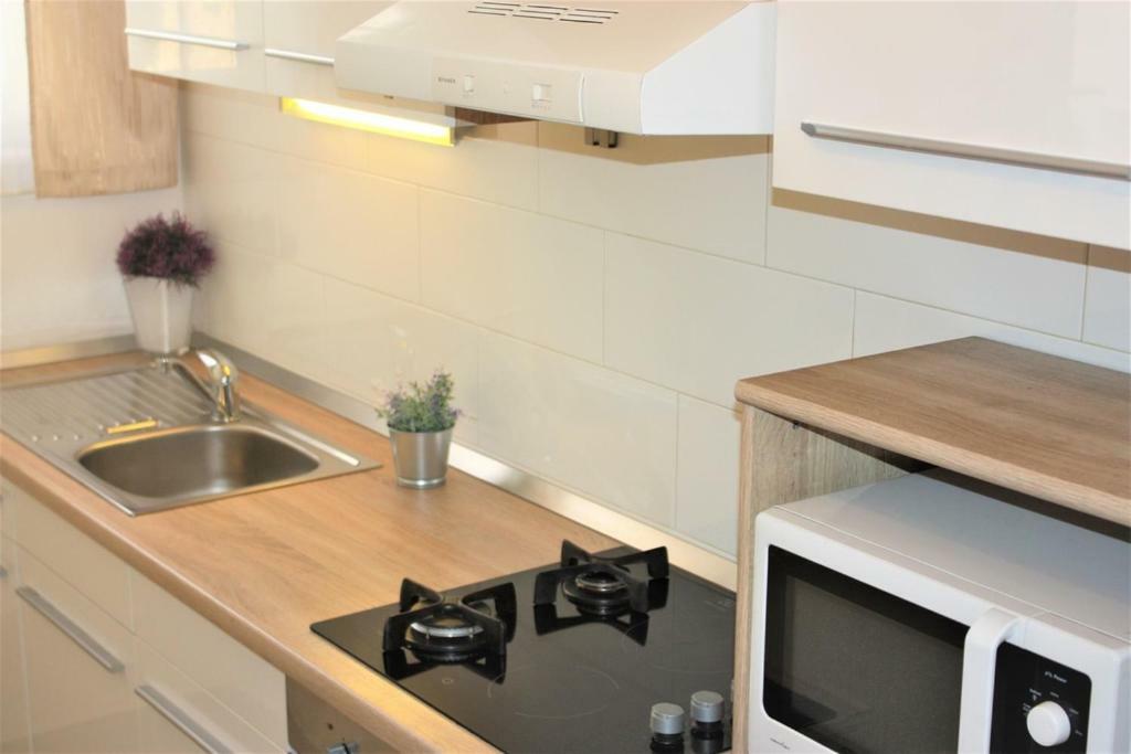 Apartment Karlo *